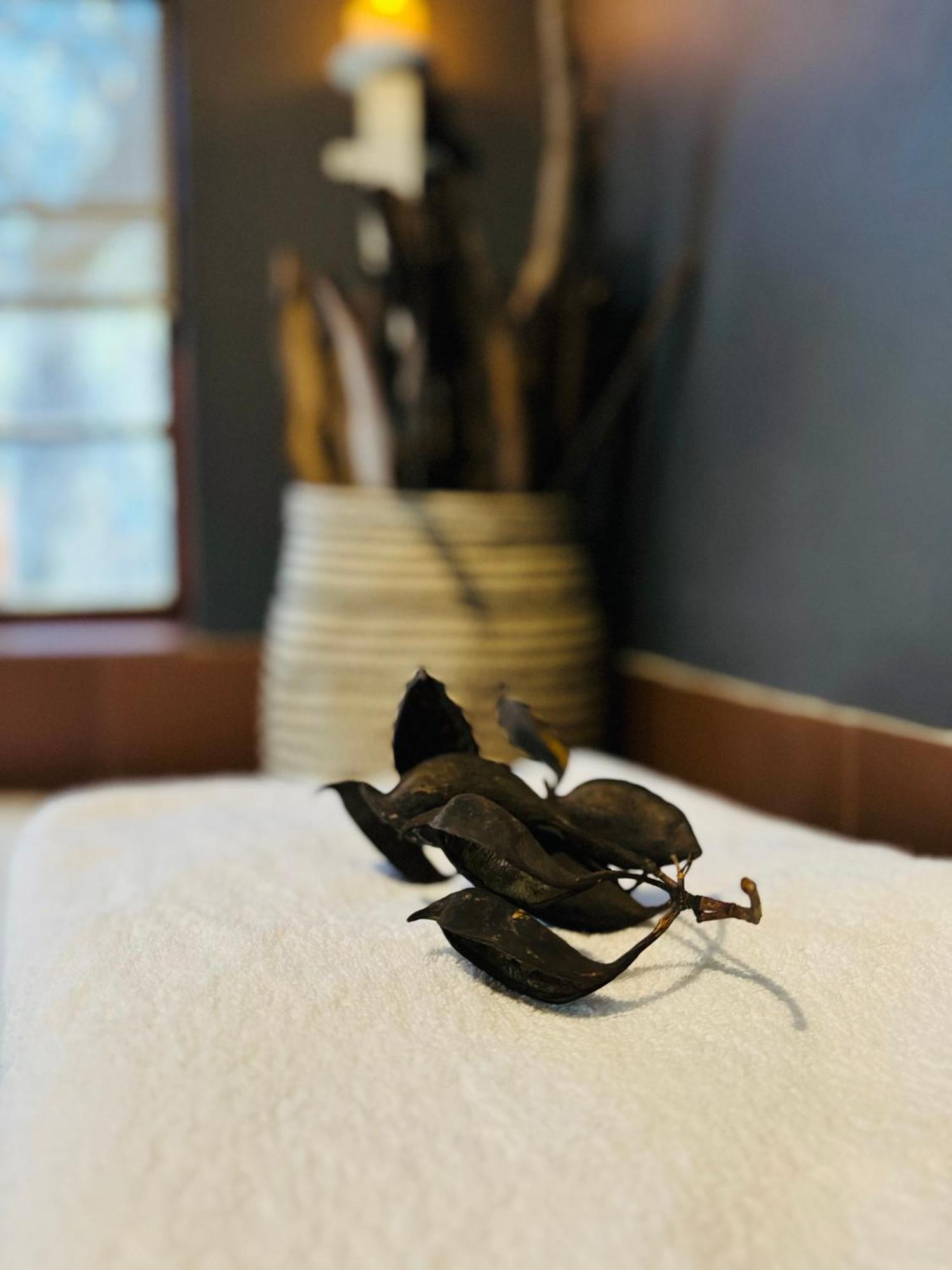 Megumi - Vaal Riverside Retreat - Loadshedding Friendly Parys Eksteriør bilde
